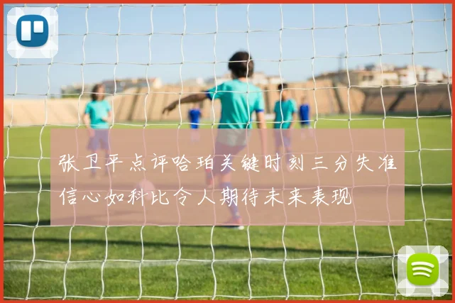 张卫平点评哈珀关键时刻三分失准信心如科比令人期待未来表现