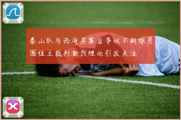泰山队与西海岸赛后争议不断球员围住主裁判激烈理论引发关注