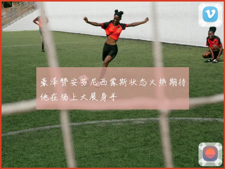 豪泽赞安芬尼西蒙斯状态火热期待他在场上大展身手