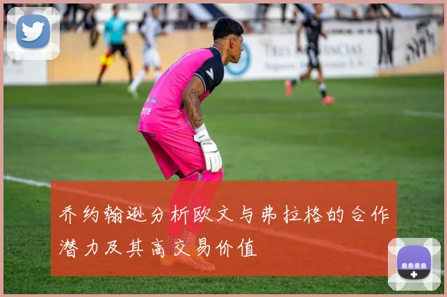 乔约翰逊分析欧文与弗拉格的合作潜力及其高交易价值